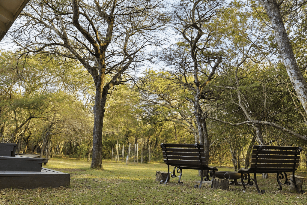 ihlathi lodge outdoor2