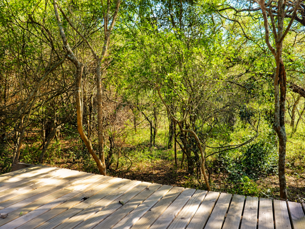 ihlathi lodge tent deck view 3